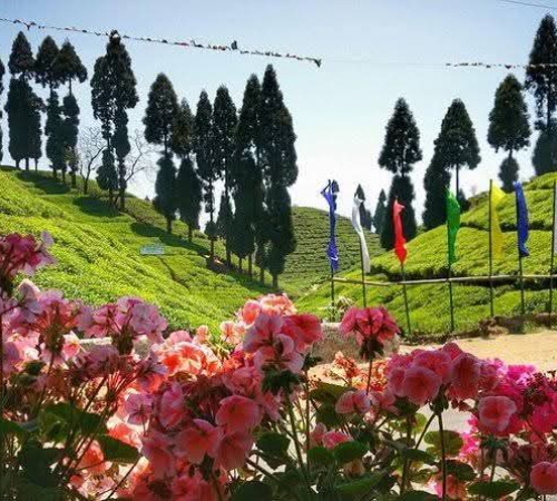 Escape To Kalimpong with Gangtok Tour Packages