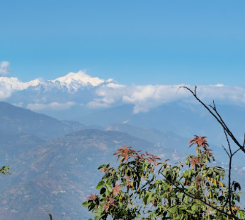 Delight Kalimpong Tour Packages