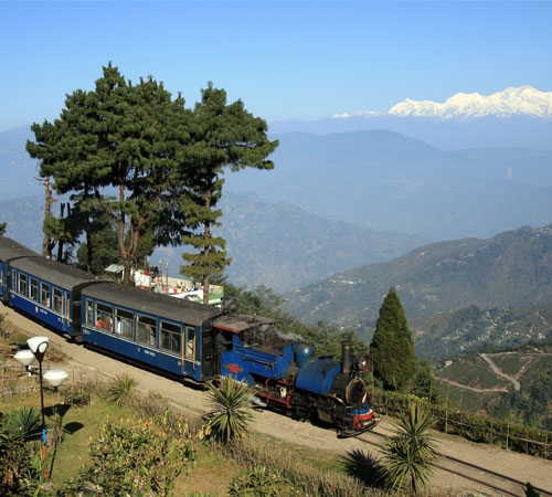 Delightful Darjeeling Tour