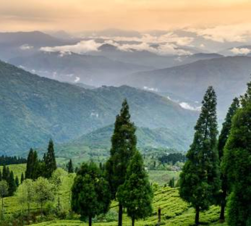 Magnificent Kalimpong and Darjeeling Tour Packages