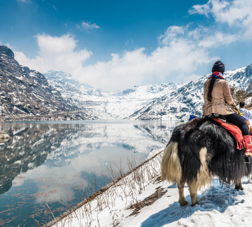 Best Of Sikkim Jewel