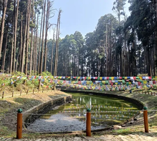 Beauty of Darjeeling